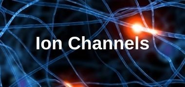 Browse by Product Type Ion channel blockers and activators