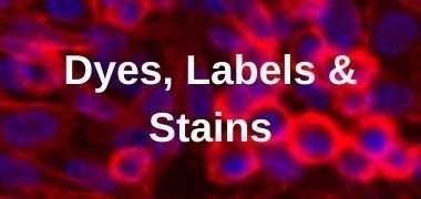 Browse by Product Type Dyes, Labels & Stains