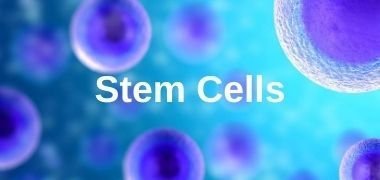Browse by Product Type Stem Cells