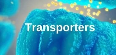 Browse by Product Type Transporters