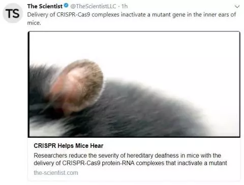 The scientist