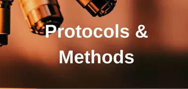 Protocols & Methods