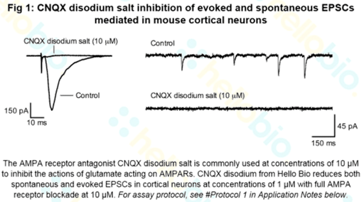 CNQX disodium inhibition of AMPA receptor mediated EPSCs