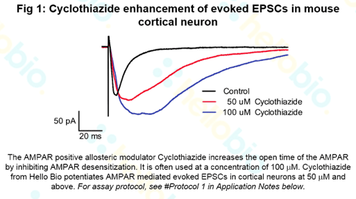 Cyclothiazide inhibition of AMPA receptor mediated EPSCs
