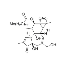 Phorbol 12-myristate 13-acetate (PMA) | THP-1 Cell Differentiator ...