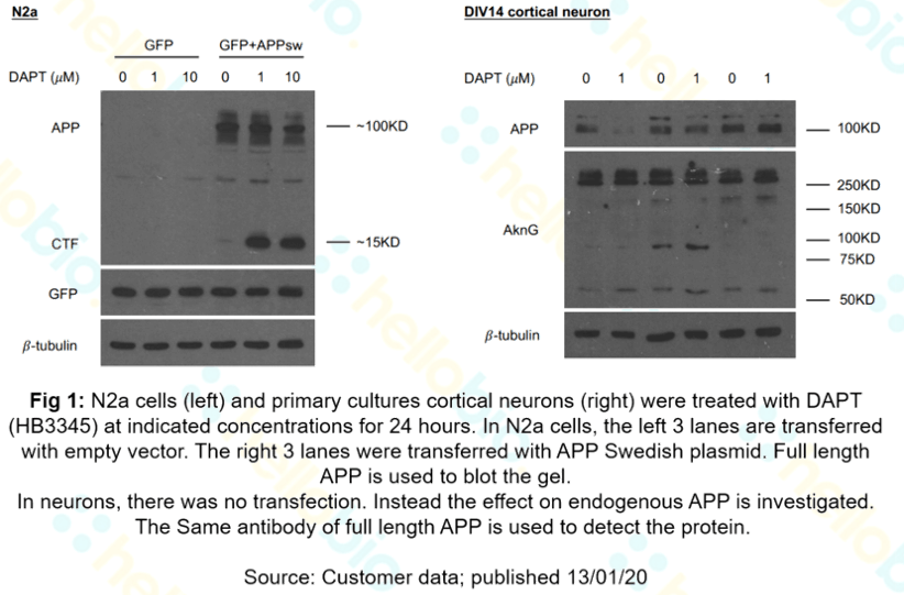 DAPT | HB3345 | biological testing