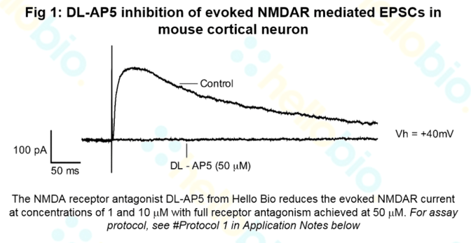 DL-AP5 inhibition of NMDA receptor mediated EPSCs