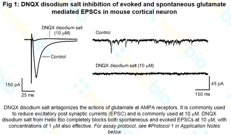 DNQX disodium inhibition of AMPA receptor mediated EPSCs