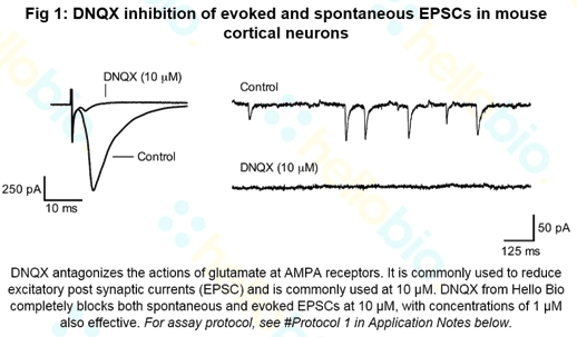 DNQX inhibition of AMPA receptor mediated EPSCs