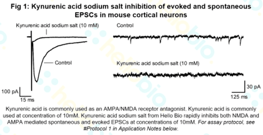Kynurenic acid sodium salt inhibition of EPSCs