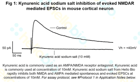 Kynurenic acid sodium salt inhibition of NMDAR mediated EPSCs