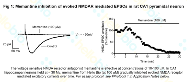 Memantine inhibition of evoked NMDAR mediated EPSCs