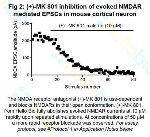 MK 801 inhibition of NMDAR receptor mediated EPSCs