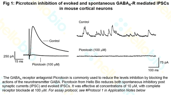 Picrotoxin inhibition GABAA receptor IPSCs