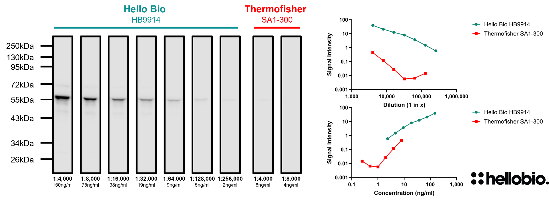 Figure 1. Concentration response of HB9914 staining when using an anti-GFAP (HB6046) primary antibody compared to Thermofisher SA1-300.