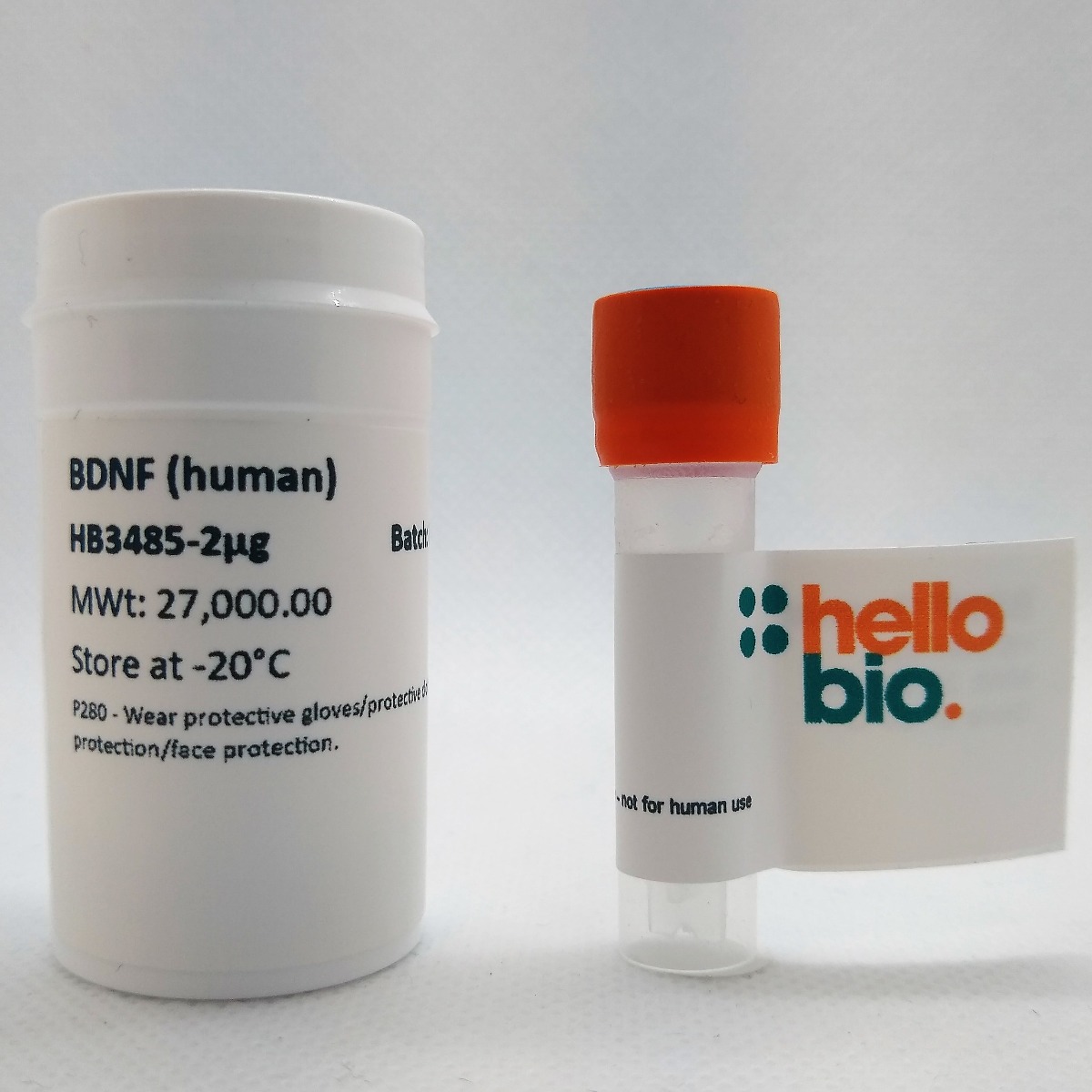 Recombinant human BDNF protein product vial image | Hello Bio