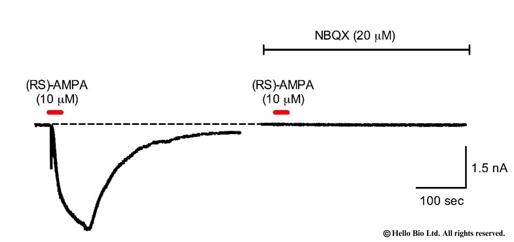 Figure 1. AMPAR mediated whole-cell current in rat CA1 pyramidal in response to application of (RS)-AMPA