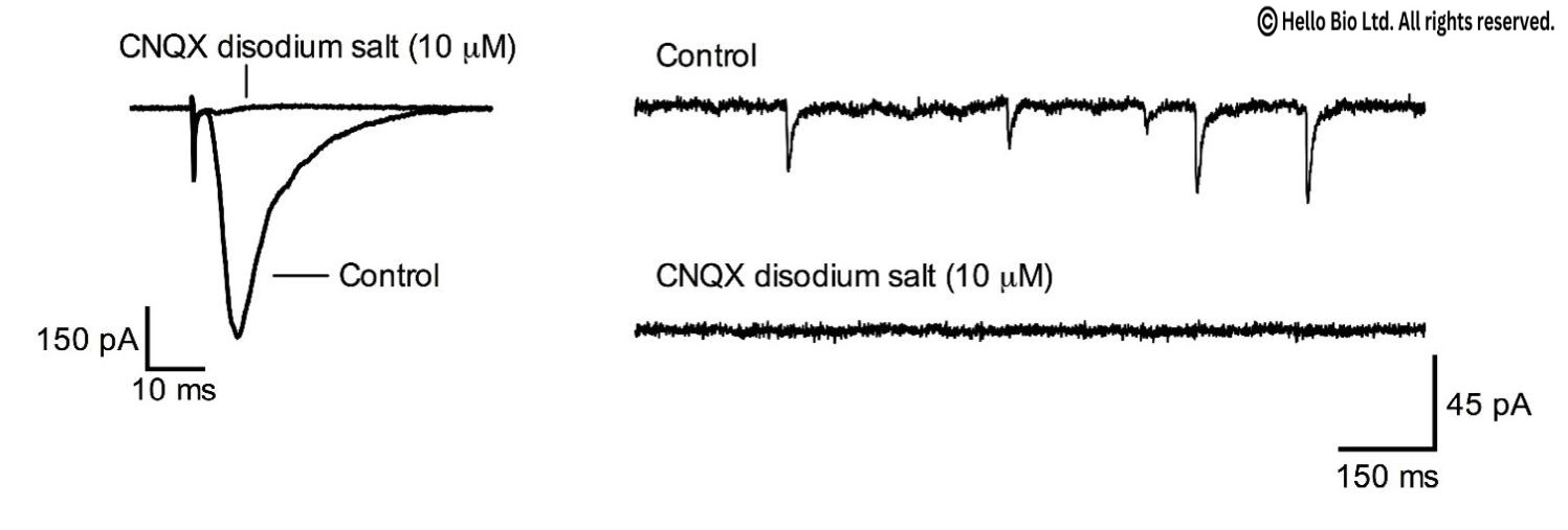 Figure 1. CNQX disodium salt inhibition of evoked and spontaneous EPSCs mediated in mouse cortical neurons
