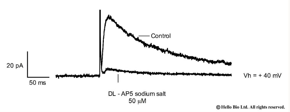 Figure 1. DL-AP5 sodium salt inhibition of evoked NMDAR mediated EPSCs in rat CA1 pyramidal neuron