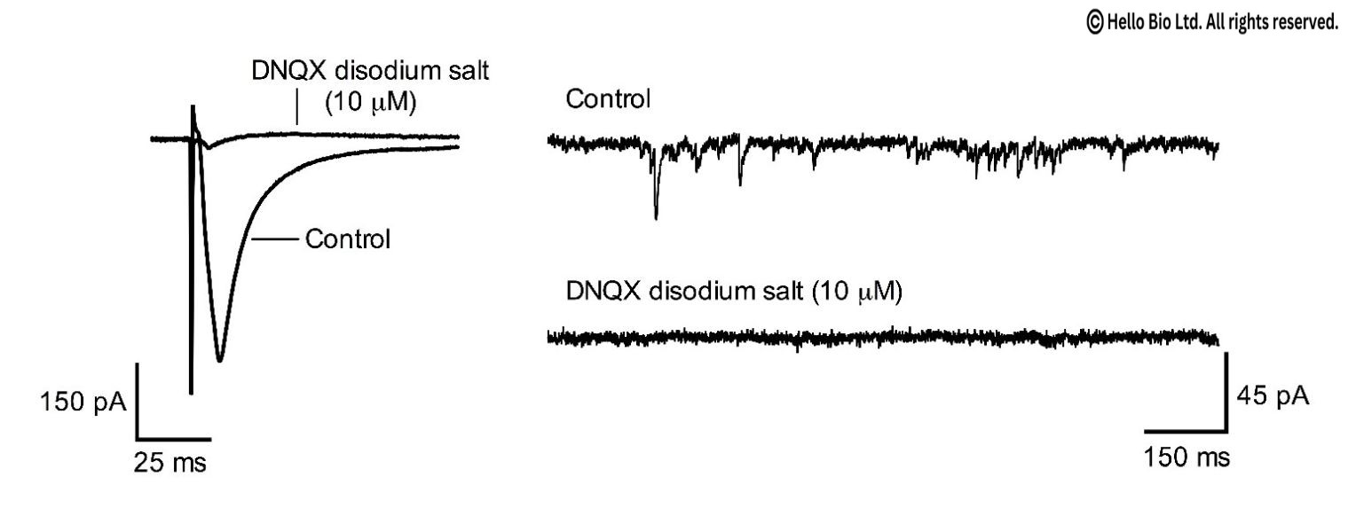 Figure 1. DNQX disodium salt inhibition of evoked and spontaneous glutamate mediated EPSCs in mouse cortical neuron