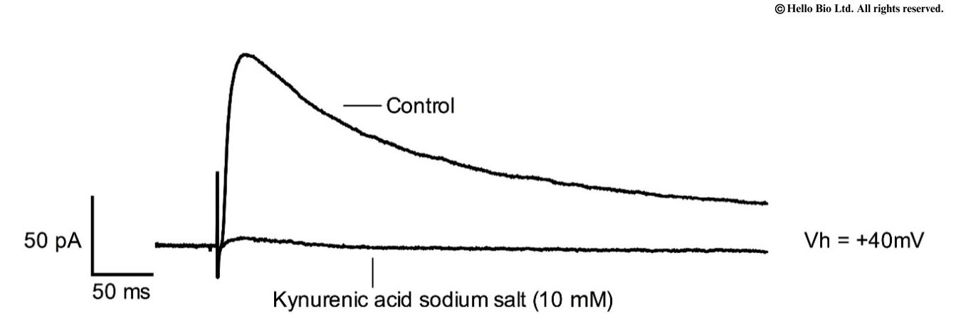 Figure 1. Kynurenic acid sodium salt inhibition of evoked NMDAR mediated EPSCs in mouse cortical neuron