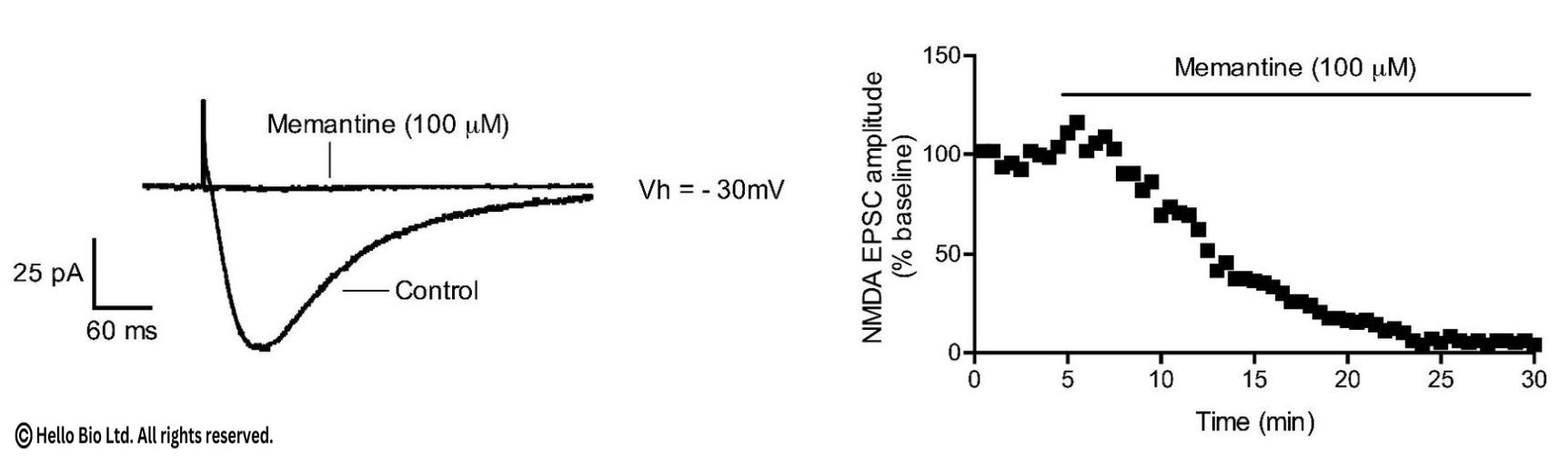 Figure 1. Memantine inhibition of evoked NMDAR mediated EPSCs in rat CA1 pyramidal neuron