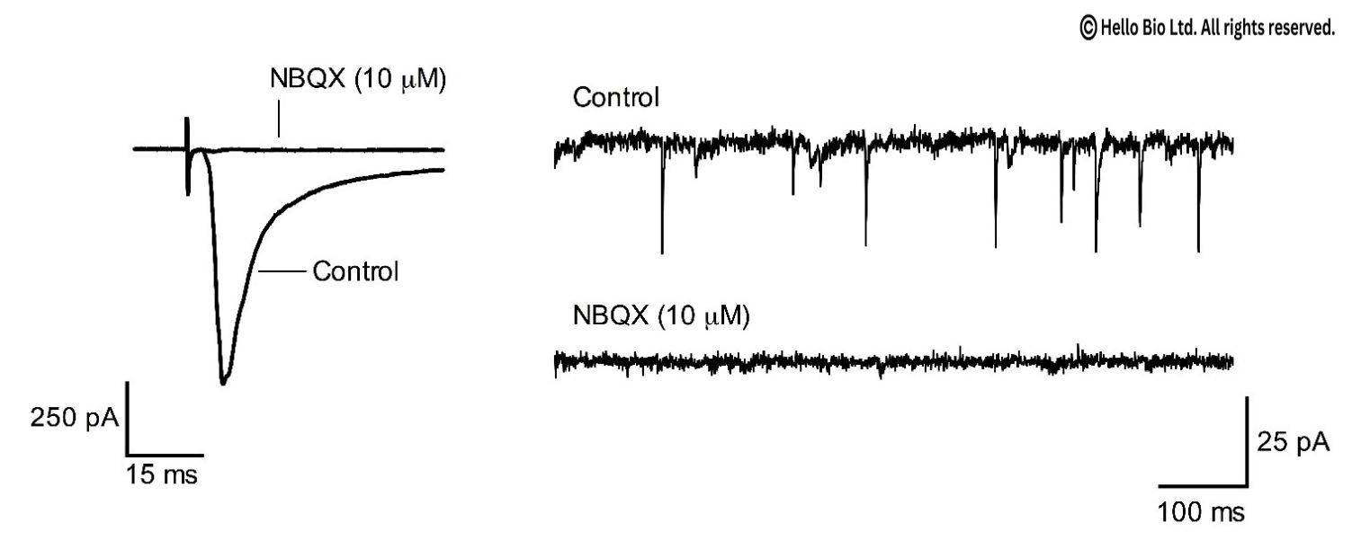 Figure 1. NBQX inhibition of evoked and spontaneous glutamate mediated EPSCs in mouse cortical neuron