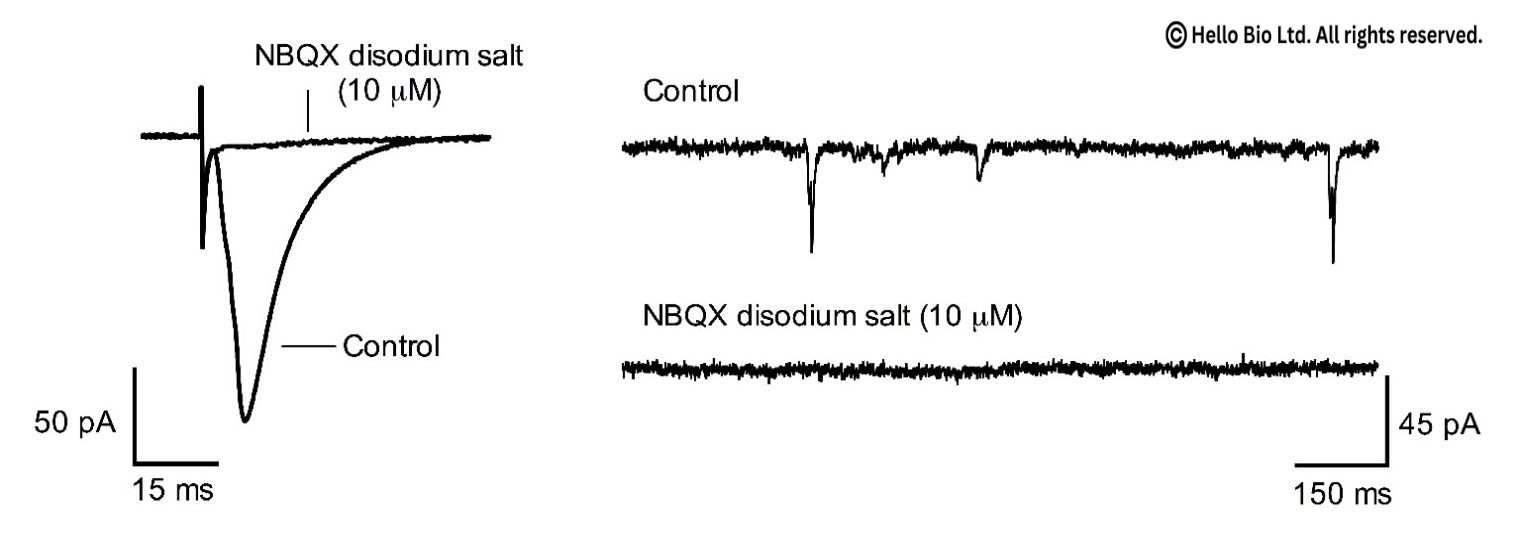 Figure 1. NBQX disodium salt  inhibition of evoked and spontaneous glutamate mediated EPSCs in mouse cortical neuron