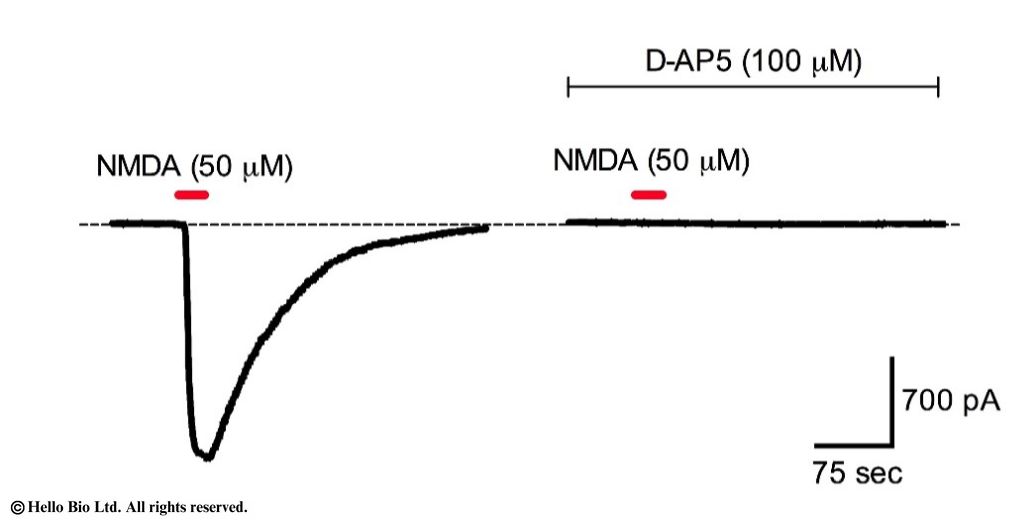 Figure 1. NMDA mediated whole-cell current in mouse cortical neuron