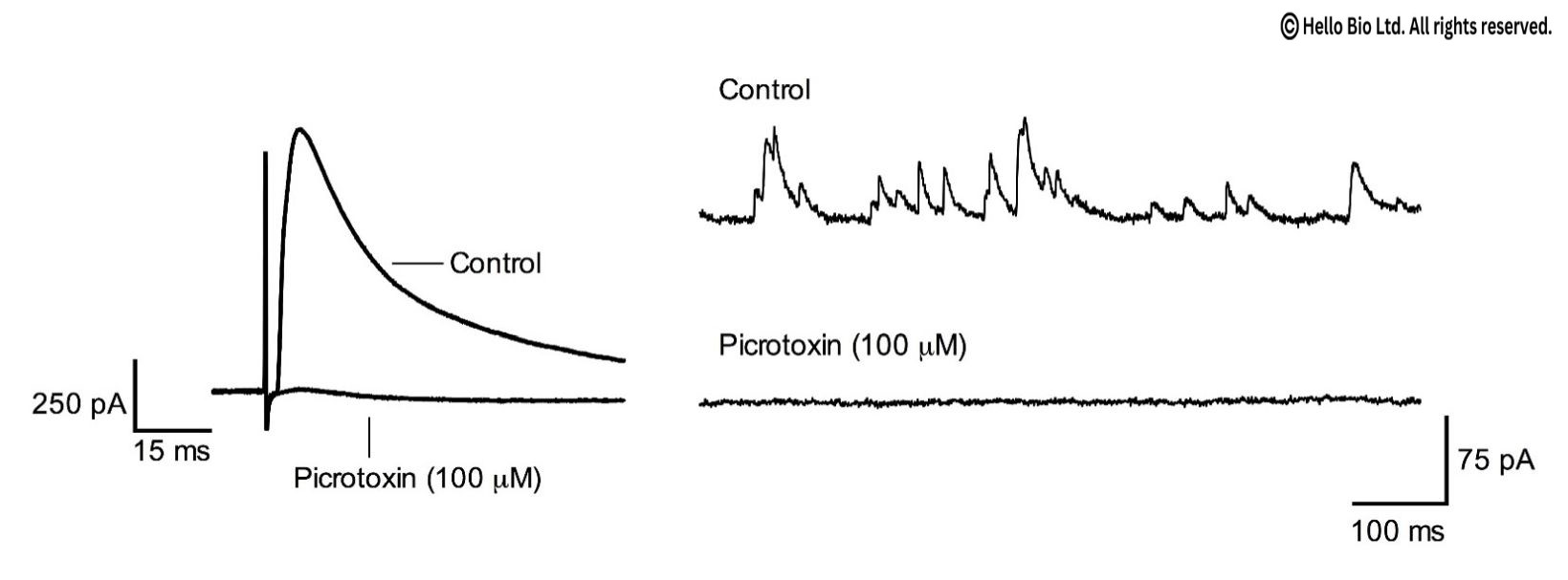 Figure 1. Picrotoxin inhibition of evoked and spontaneous GABAA-R mediated IPSCs in mouse cortical neurons