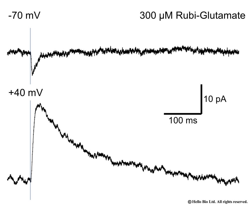 Uncaging of Rubi-Gutamate