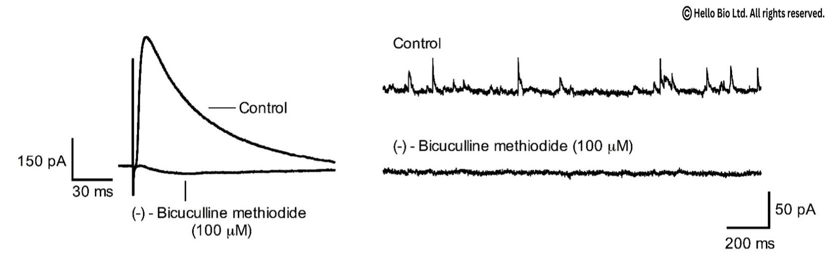 Figure 1. Bicuculline methiodide inhibition of evoked and spontaneous GABAA-R mediated IPSCs in mouse cortical neurons