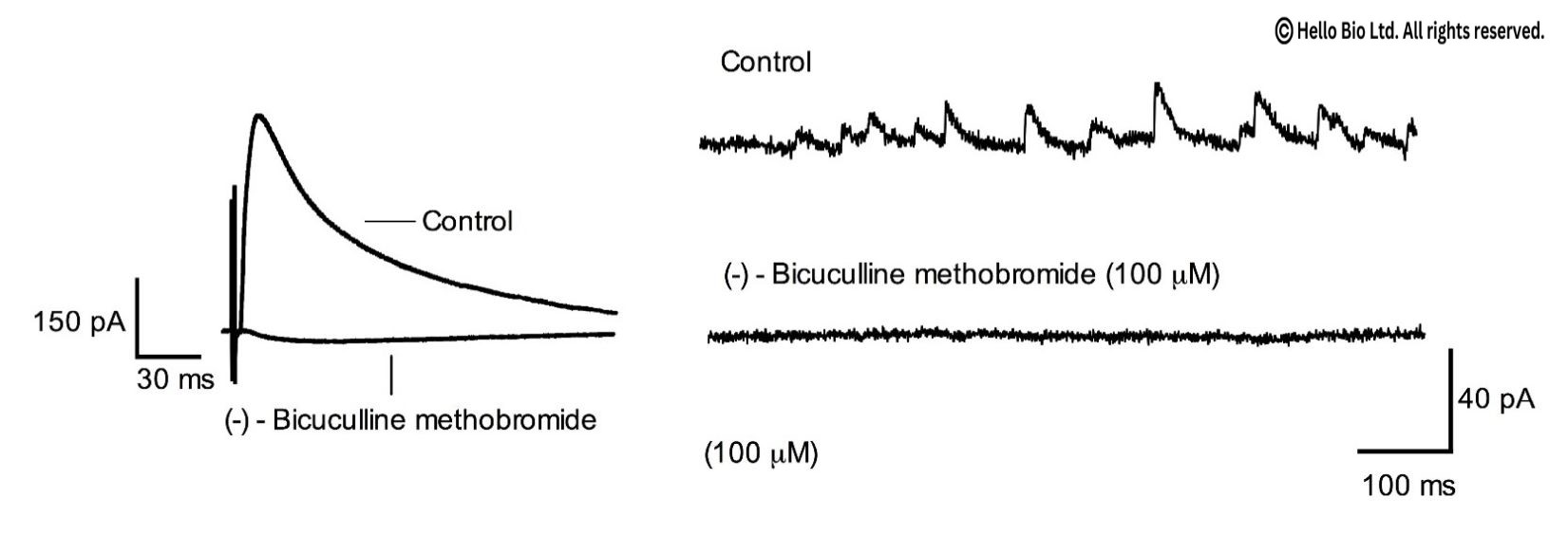 Figure 1. Bicuculline methobromide inhibition of evoked and spontaneous GABAA-R mediated IPSCs in mouse cortical neurons