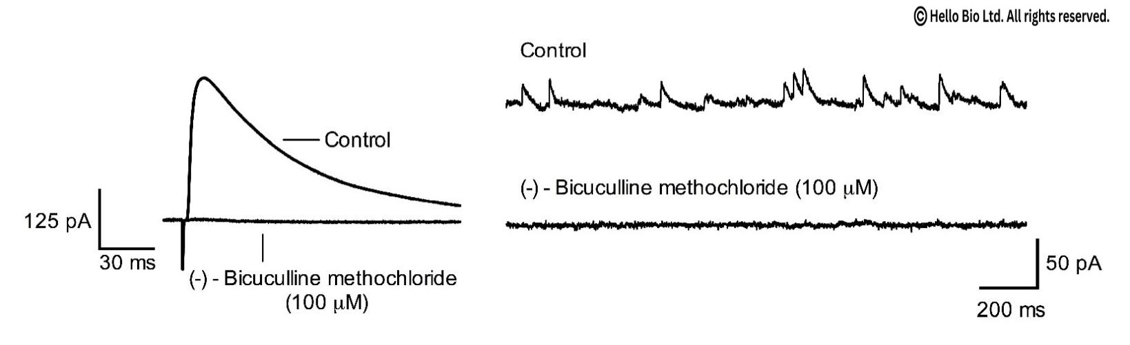 Figure 1. Bicuculline methochloride inhibition of evoked and spontaneous GABAA-R mediated IPSCs in mouse cortical neurons