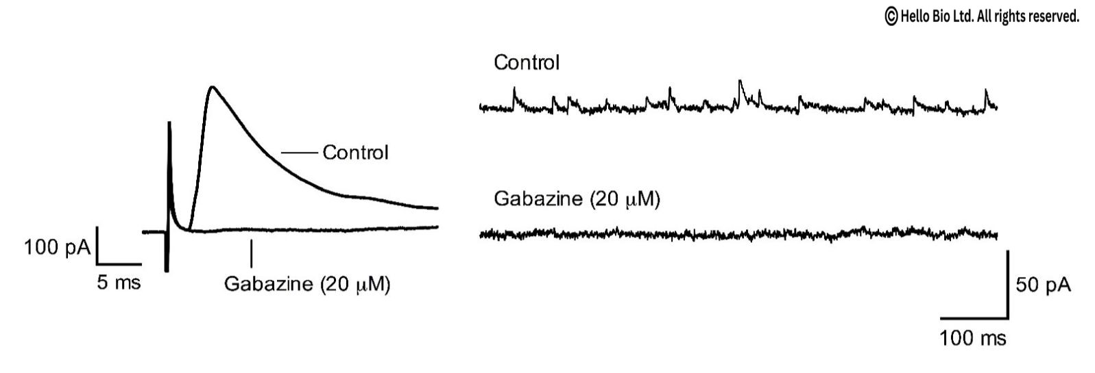 Figure 1. Gabazine inhibition of evoked and spontaneous GABAA-R mediated IPSCs in mouse cortical neurons