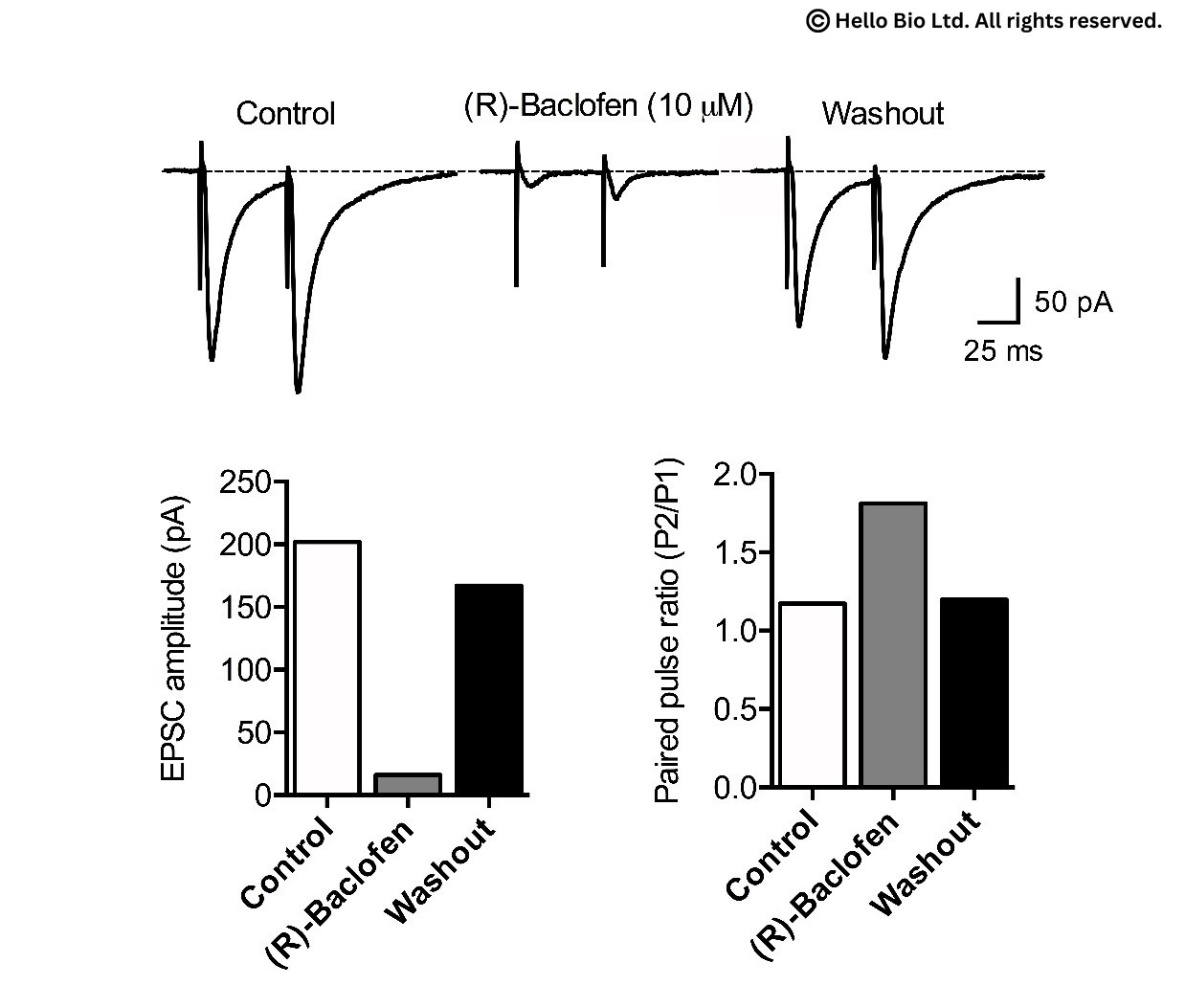 Figure 1. Reversible inhibition of EPSC amplitude and increased EPSC paired pulse ratio in rat CA1 pyramidal neuron in response to (R)-Baclofen