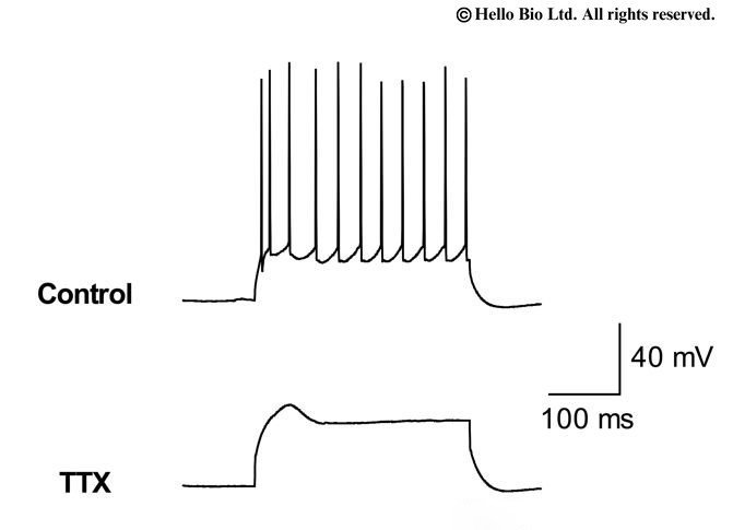 Figure 1. TTX mediated inhibition of action potential firing upon post synaptic current injection in cortical neuron