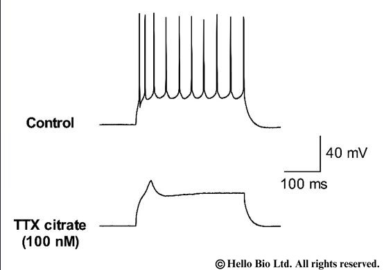 Figure 1. TTX citrate mediated inhibition of action potential firing upon post synaptic current injection in cortical neuron