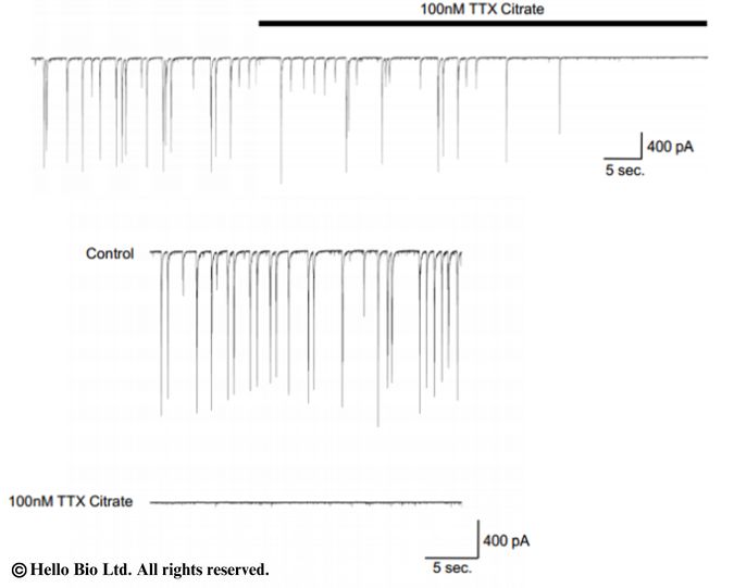 Figure 3. Whole-cell voltage clamp recordings made from primary cultured rat cortical neurons.