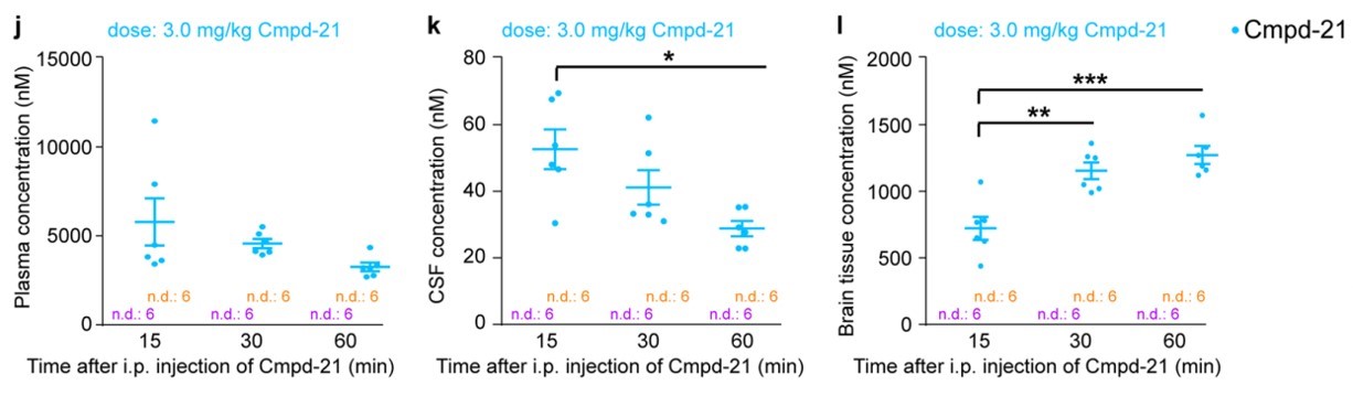Figure. HB4888 In vivo pharmacokinetic profile of DREADD agonist 21 (Cmpd-21)