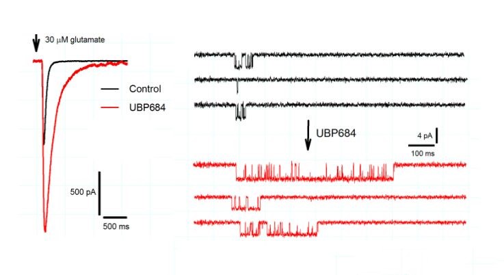 Figure 1. Whole cell and single channel recordings in response to rapid agonist application; UBP684 effects on responses by GluN1/GIuN2A receptors expressed in HEK cell.