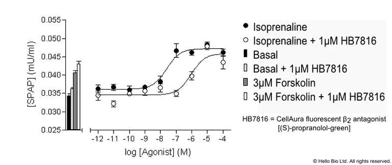 Figure 1. β2-SPAP cells assayed against Isoprenaline and HB7816 