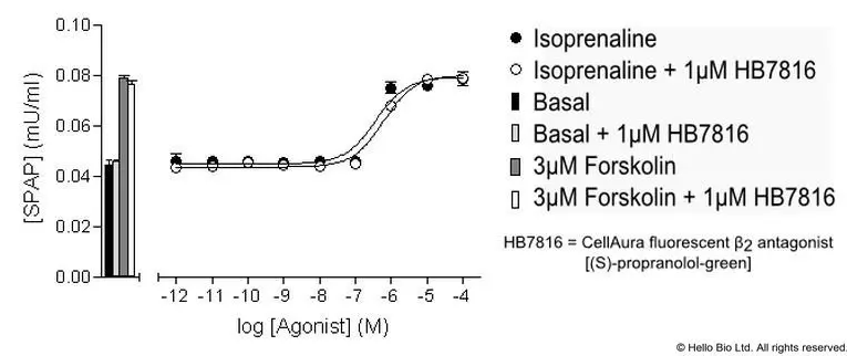 Figure 3. β3-SPAP cells assayed against Isoprenaline and HB7816