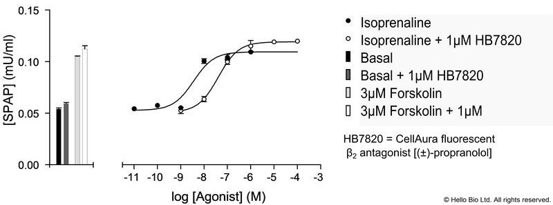 Figure 1. β1-SPAP cells assayed against lsoprenaline and 1 µM HB7820