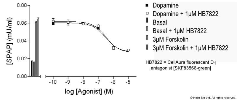 Figure 2. D2-SPAP cells assayed against dopamine and 1 µM HB7822