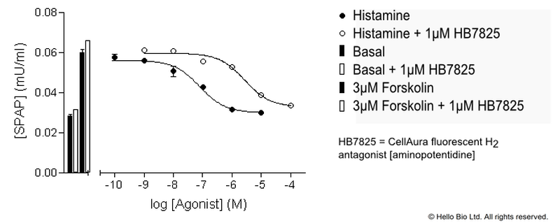 Figure 2. H3-SPAP cells assayed against histamine and HB7825