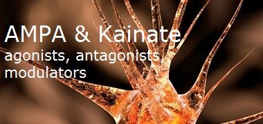 AMPA & kainite range AMPA & kainate range